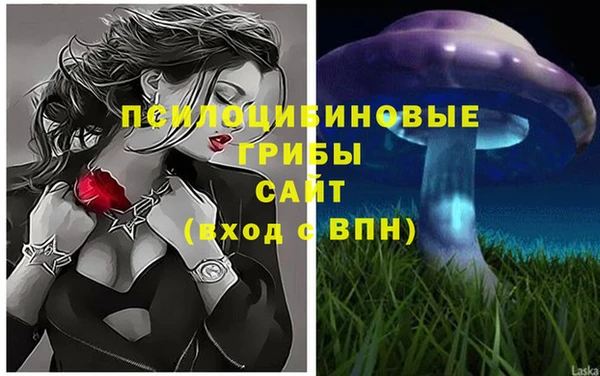 ECSTASY Семёнов