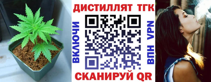 Купить где  Отрадная  ТГК THC oil 