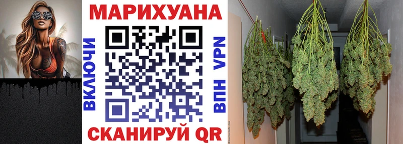 Купить  Отрадная  Марихуана план 